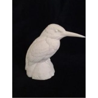 Kingfisher-common - Bob Guge study cast