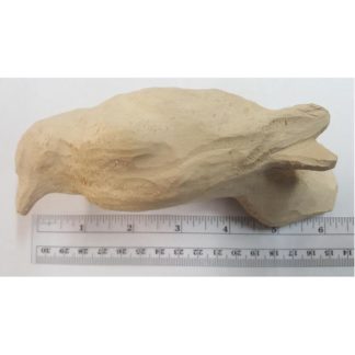 Woodpecker, Downy Tupelo Rough out Head turned
