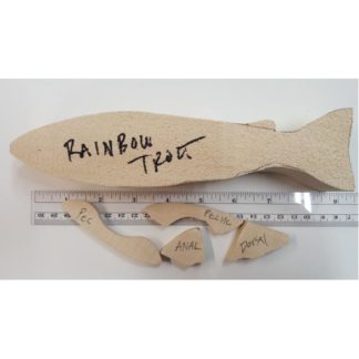 Rainbow Trout Fish- Josh Guge cutout tupelo