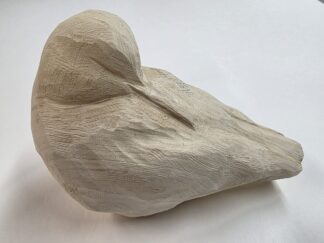 Sanderling, Sleeping Tupelo Roughout head turned 170