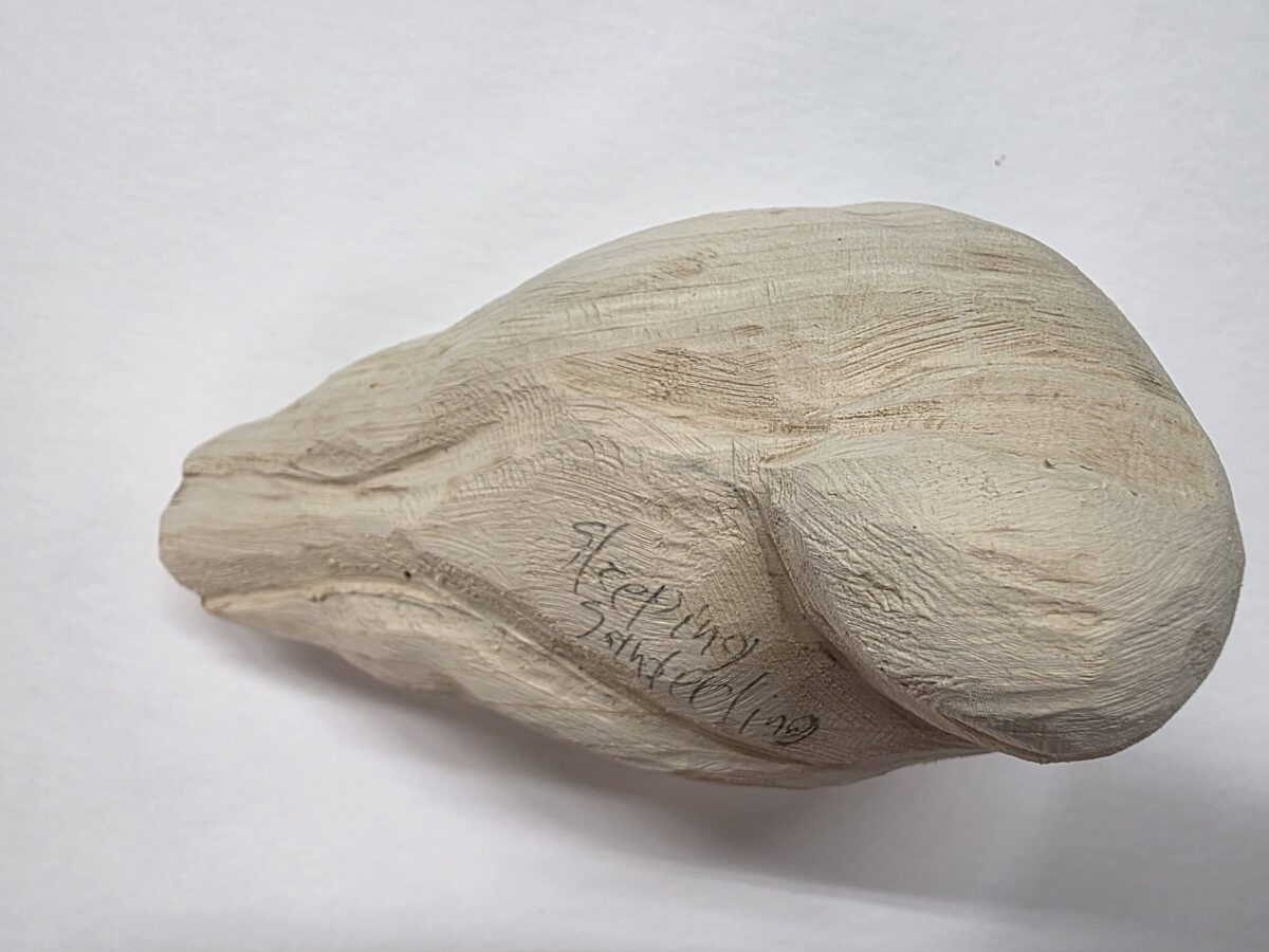 Sanderling, Sleeping Tupelo Roughout head turned 170 - Image 2