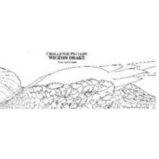 Pat Godin, Wood Duck Hen Challenge Pattern relaxed V1
