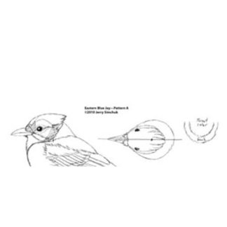 Blue Jay, Jerry Simchuk Pattern