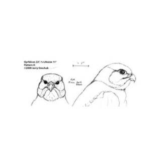 Falcon, Gyrfalcon 1/2 size, Jerry Simchuk Pattern