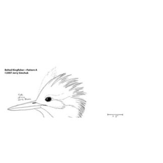 Kingfisher, Belted Jerry Simchuk Pattern