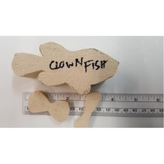 Clown Fish - Josh Guge cutout tupelo