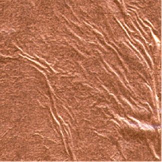 Copper Leaf