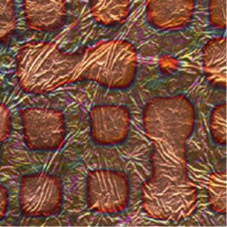 Variegated Leaf -Labyrinth Copper
