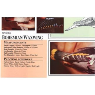 Harou Uchiyama Songbird Patterns Bohemian Waxwing