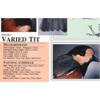 Harou Uchiyama Songbird Patterns Varied Tit