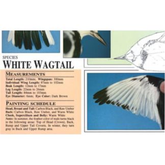 Harou Uchiyama Songbird Patterns White Wagtail