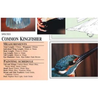 Harou Uchiyama Songbird Patterns Common Kingfisher