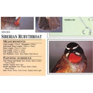 Harou Uchiyama Songbird Patterns Siberian Ruby-Throat