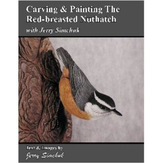 Painting the RED BREASTED NUTHATCH