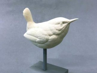 Wren, Winter Josh Guge study cast