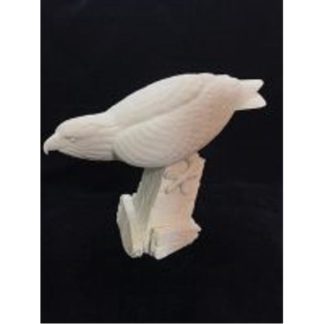 HAWK, Osprey 1/4, Josh Guge study cast
