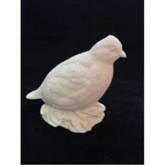 Quail - Quail on Habitat - Josh Guge study cast 2/3