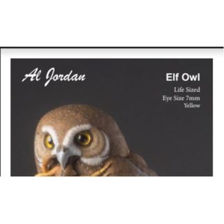Elf Owl Color Card Al Jordan