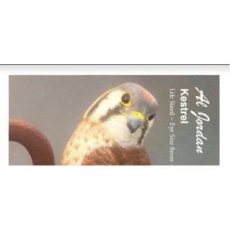 Kestrel Color Card Al Jordan