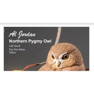 Northern Pygmy Owl Color Card Al Jordan