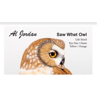 Saw Whet Owl Color Card Al Jordan