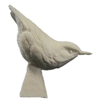 Nuthatch, Red-breasted, Jerry Simchuk study cast