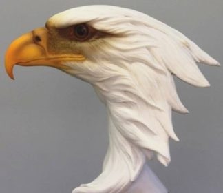 Basswood Rough-out Eagle Head Rough-out <P>6" T, 3½" W, 5½ L"