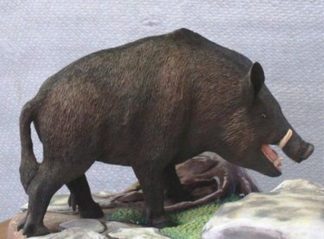 Basswood Rough-out- Wild Boar by Gene Webb 8" L x 5" H x 2½" W