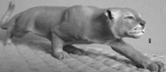 Basswood Rough-out Mountain Lion Stretched 2¾"T by Jim Wilsford