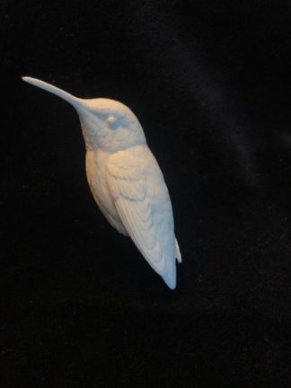Hummingbird Rufous - (sitting) Study Cast