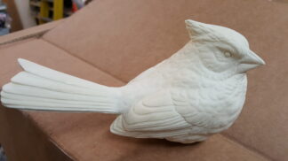 Cardinal Fluffy study cast Jeff Moore Life size
