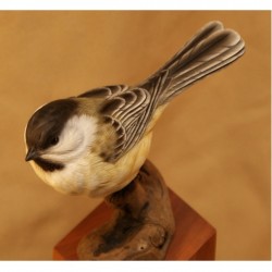 NEW - Chickadee Basswood Rough-Out