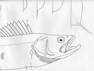 Fish Patterns Walleye 20" Jeff Compton