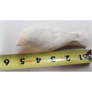 NEW - Goldfinch Basswood Rough-Out