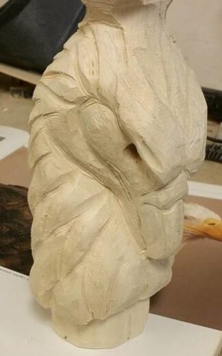 Eagle- Basswood Roughout Cane Topper