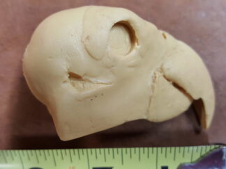 Parrot, African study cast #590