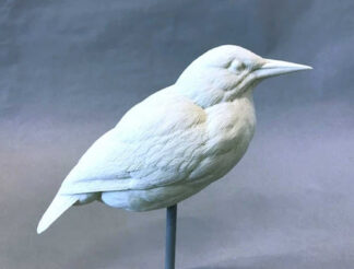 Meadowlark full size- Josh Guge study cast