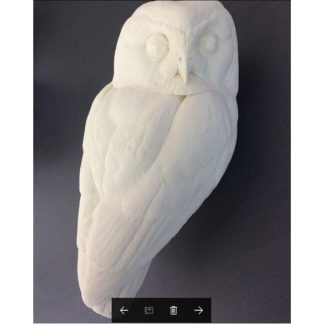 KIT-OWL, Saw Whet, Al Jordan