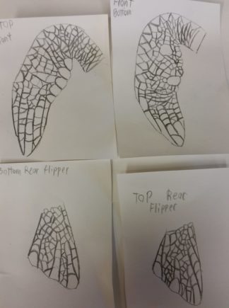 Sea Turtle Shapes Stencils Set