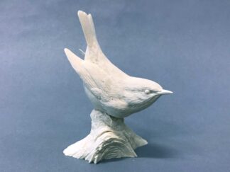 Warbler- C. M. Josh Guge study cast