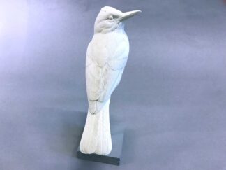 Great Kiskadee - Josh Guge study cast 8"