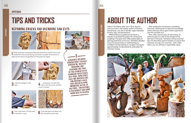 Chainsaw Carving for Beginners - Image 2