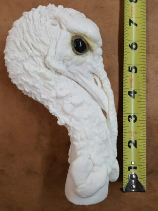 TURKEY STRUT STANDING study cast