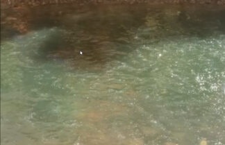 Surface Water - Water Ripples