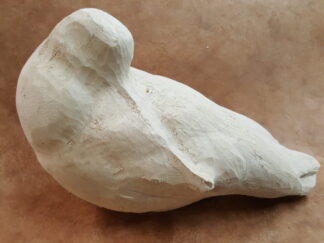 Avocet, Sleeping - Tupelo Roughout