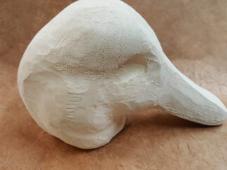 Canvasback Head Down Tupelo roughout Drake head only