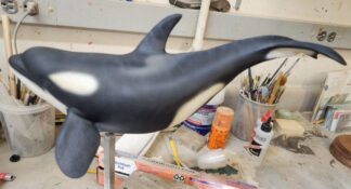 Orca / Killer Whale 13" long- Tupelo Roughout