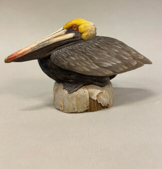 Pelican 1/4- Josh Guge study cast