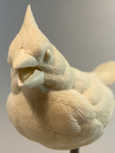 Cardinal, Opened beak- Josh Guge study cast - Image 2