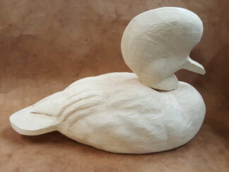 Meganser, Hooded drake LG. head full crest, tail down - Tupelo Roughout